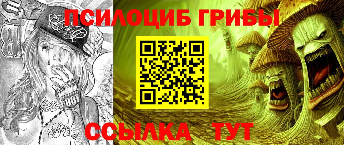 Тобольск  как найти наркотики  Вход с VPN  Галлюциногенные грибы MAGIC MUSHROOMS 